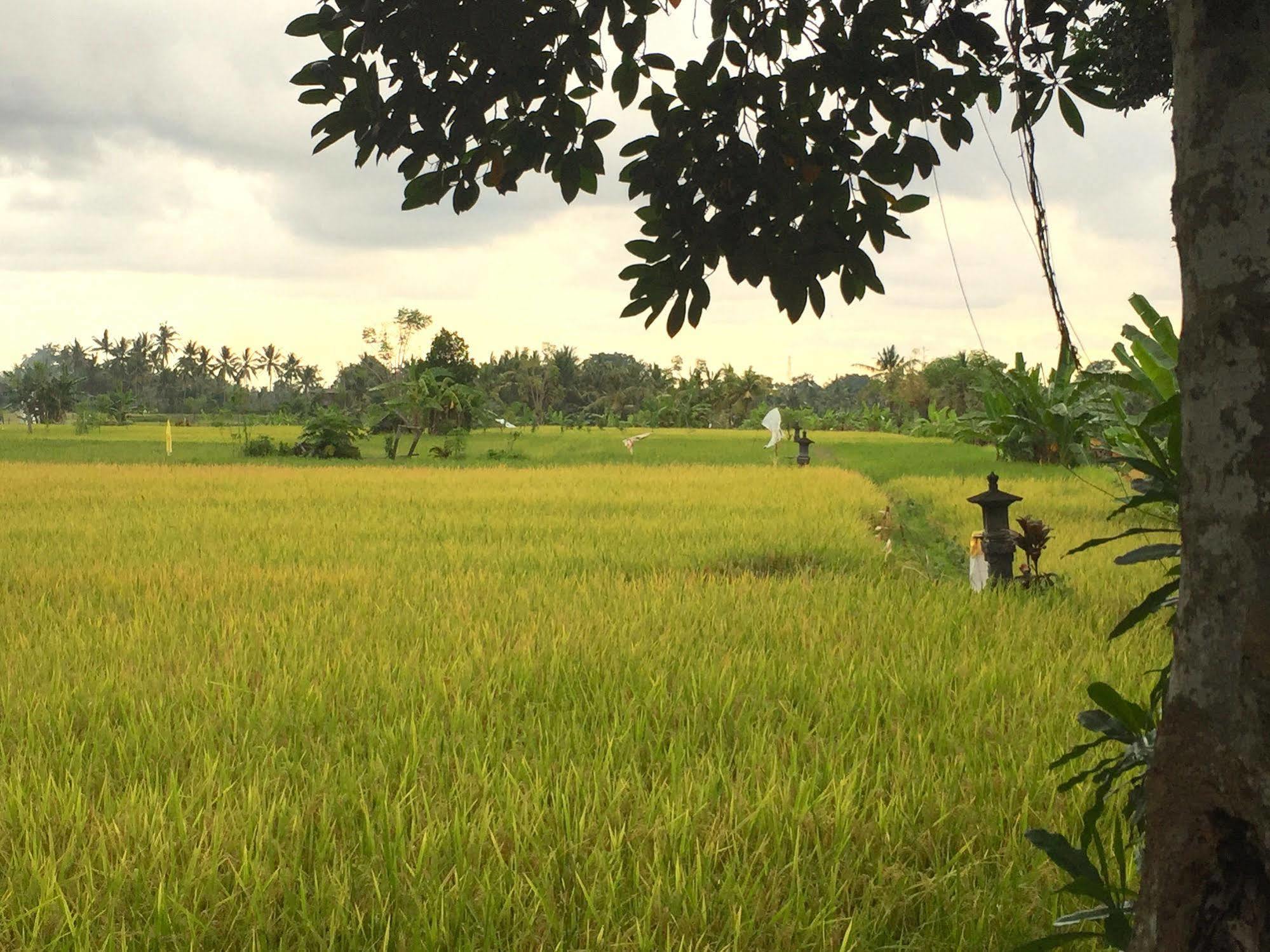 Suly Vegetarian Resort & Spa Ubud Exterior foto