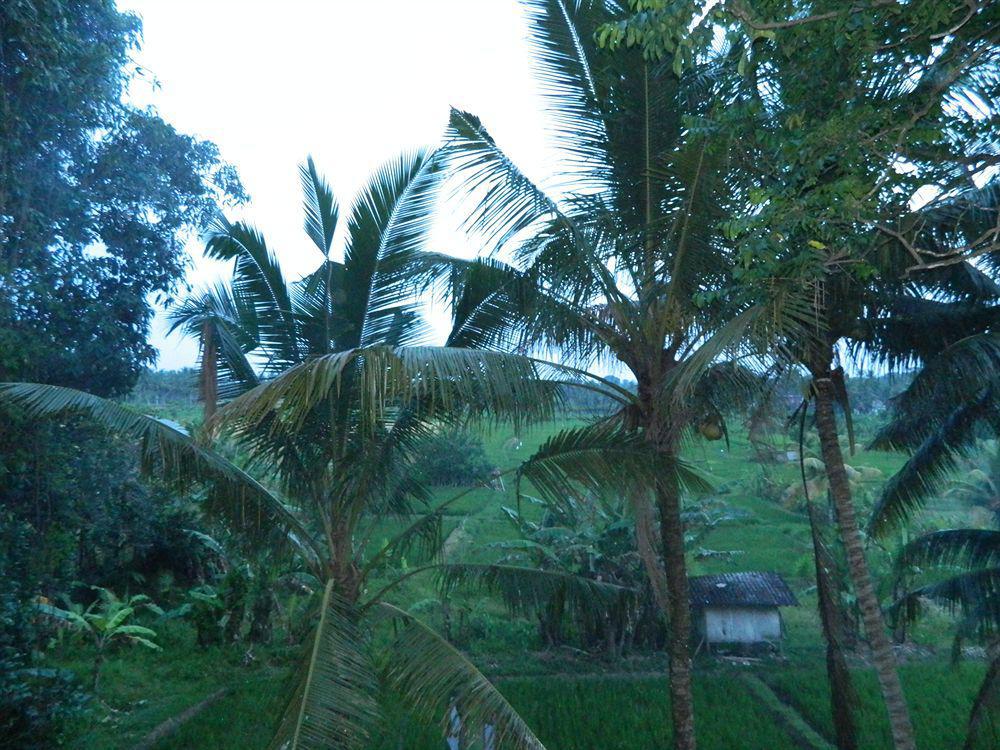 Suly Vegetarian Resort & Spa Ubud Exterior foto